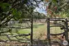 59 Henlin Park Road, Smythesdale, Vic 3351-Image