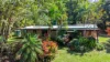 59 High Chapparal Road, Kuranda, Qld 4881-Image