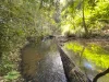 59 High Chapparal Road, Kuranda, Qld 4881-Image