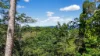 59 High Chapparal Road, Kuranda, Qld 4881-Image