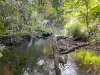59 High Chapparal Road, Kuranda, Qld 4881-Image