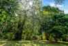 59 High Chapparal Road, Kuranda, Qld 4881-Image