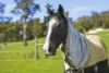 59  Hjorts Road, Loira, Tas 7275-Image