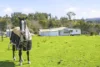 59  Hjorts Road, Loira, Tas 7275-Image