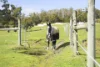 59  Hjorts Road, Loira, Tas 7275-Image