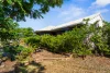 59 Hutchison Terrace, Bakewell, NT 0832-Image