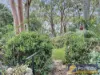 59 James Scott Crescent, Lemon Tree Passage, NSW 2319-Image