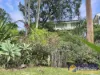 59 James Scott Crescent, Lemon Tree Passage, NSW 2319-Image
