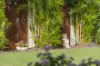 59 Kendall Crescent, Bonny Hills, NSW 2445-Image