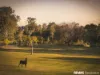 59 Landing Place, Moggill, Qld 4070-Image