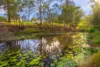 59 Lawson Road, Pie Creek, Qld 4570-Image