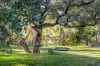 59 Leslie Creek Road, Mylor, SA 5153-Image