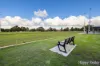 59 Meadowbrook Drive, Parkwood, WA 6147-Image