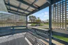 59 Murphy Street, Point Vernon, Qld 4655-Image
