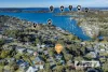 59 Northminster Way, Rathmines, NSW 2283-Image