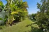 59 Old Lismore Road, Murwillumbah, NSW 2484-Image
