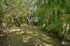59 Old Lismore Road, Murwillumbah, NSW 2484-Image