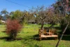 59 Pyrenees Highway, Newstead, Vic 3462-Image