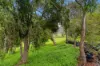 59 Roe Street, Bridgetown WA 6255-Image