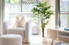 59 Samarinda Street, Tingalpa, Qld 4173-Image