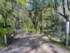 59 Sea Acres Drive, Long Beach, NSW 2536-Image