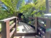 59 Sea Acres Drive, Long Beach, NSW 2536-Image