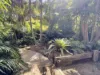 59 Sea Acres Drive, Long Beach, NSW 2536-Image