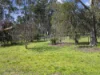 59 Shiffner Street, Violet Town, Vic 3669-Image