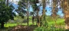 59 Tamarind Street, Maleny, Qld 4552-Image