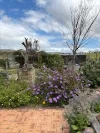 59 Ulster Road, York, WA 6302-Image