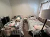 590 Chapple Lane, Broken Hill NSW 2880-Image
