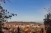 597 Affleck Street, Albury, NSW 2640-Image
