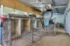 597 Aunger Road, Reeves Plains, SA 5502-Image