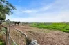 597 Aunger Road, Reeves Plains, SA 5502-Image