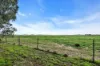 597 Aunger Road, Reeves Plains, SA 5502-Image