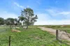597 Aunger Road, Reeves Plains, SA 5502-Image