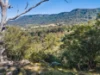 599 Bong Bong Road, Huntley, NSW 2530-Image