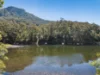 599 Bong Bong Road, Huntley, NSW 2530-Image