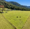 599 Bong Bong Road, Huntley, NSW 2530-Image