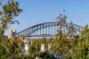 59a Ballast Point Road, Birchgrove, NSW 2041-Image