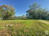 5A Meelee Street, Narrabri, NSW 2390-Image