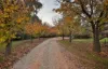 5a Rowse Court, Mildura, Vic 3500-Image