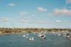 5a The Esplanade, Drummoyne, NSW 2047-Image