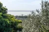 5B Langdon Street, Portarlington, Vic 3223-Image