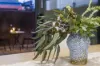 5B Wollong Place, Nollamara, WA 6061-Image