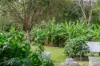 6-12 Fern Tree Court, Cedar Vale, Qld 4285-Image