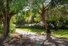 6/28 Geographe Bay Road, Dunsborough, WA 6281-Image