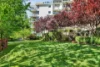 6/43 Blackall Street, Barton ACT 2600-Image