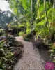 6/60 Cairns Road, Camira, Qld 4300-Image