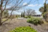 6 Aberle Street, Karoonda, SA 5307-Image